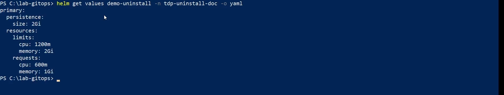 Figura 3 - Exportação da configuração da release Helm